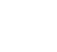 Ice skates